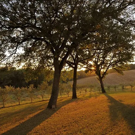Agriturismo Podere Campinovi Farm stay Colle Val D'Elsa