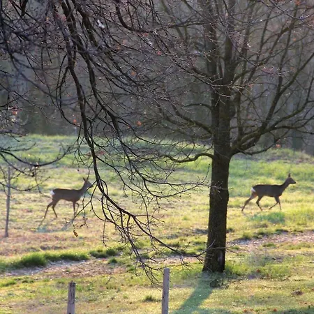 Farm stay Agriturismo Podere Campinovi *