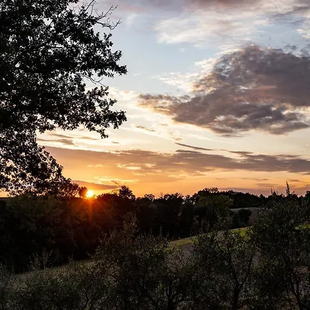 Agriturismo Podere Campinovi Colle Val D'Elsa