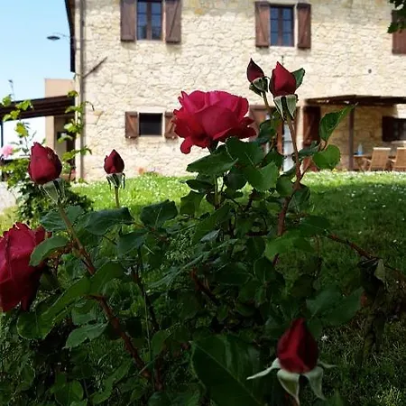 Séjour à la ferme Agriturismo Podere Campinovi Colle Val D'Elsa